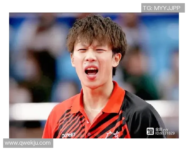 南京乒乓球队实力对比深度解析与未来发展展望