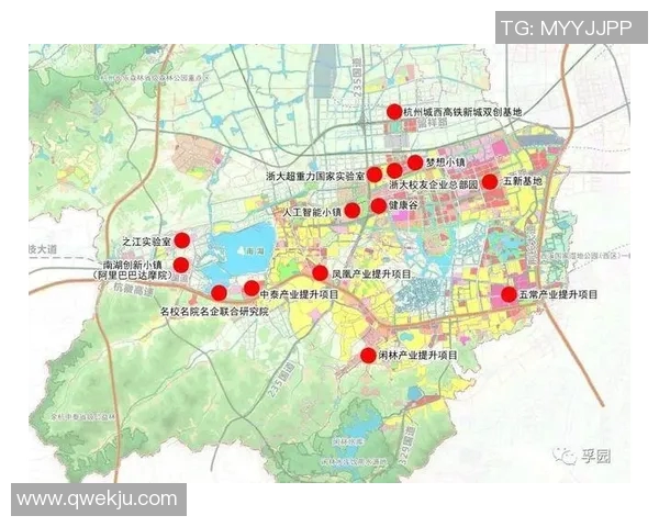 杭州乒乓球队在城市联赛中的实力展现与未来发展潜力分析