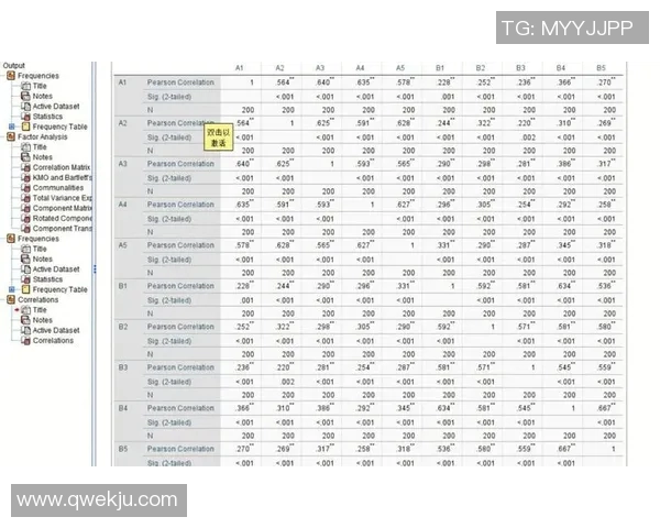 武汉篮球队战术表现深度数据分析与战绩关联研究 武汉篮球队战术表现深度数据分析与战绩关联研究
