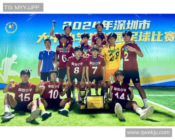 赛后分析：深圳足球队与西安足球队的战术对决与启示