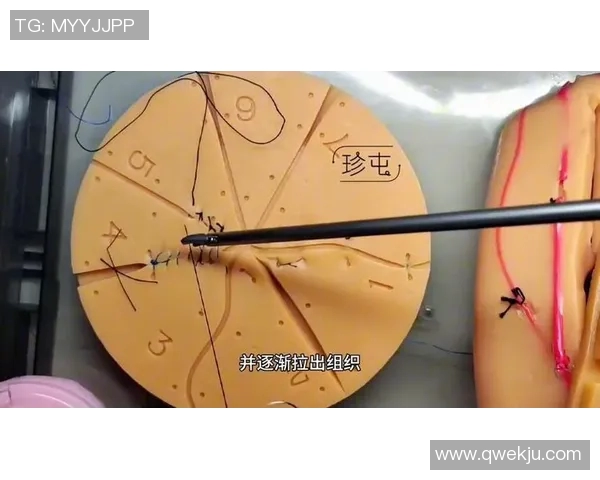 成都排球队战术解析与发展策略探讨助力球队更上一层楼 成都排球队战术解析与发展策略探讨助力球队更上一层楼