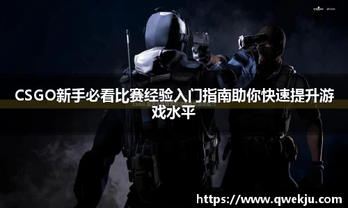 333体育官网