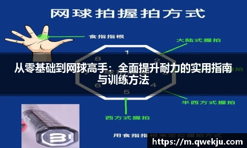 333体育官网