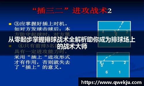 333体育官网
